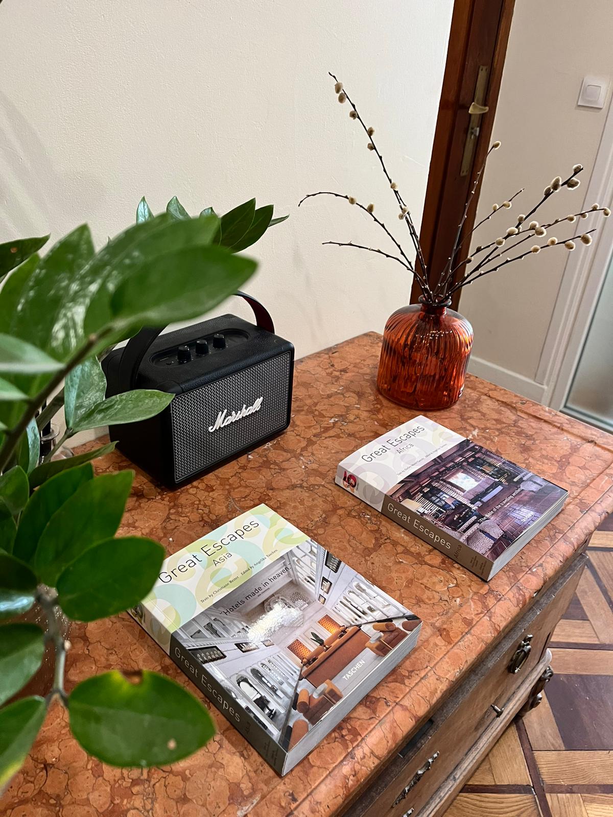 Espace d'accueil avec livres et plantes