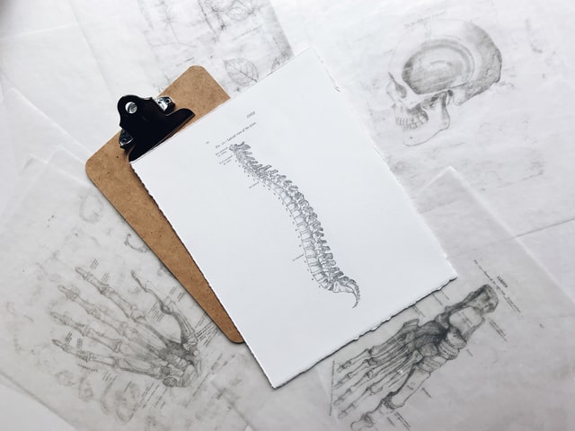 Les origines de l'ostéopathie