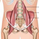 traitement osteopathique preventif Nice-douleurs lombaires-osteopathe nice-osteopathie saint laurent du var-osteopathe pour sportifs alpes maritimes-cabinet d osteopathie nice